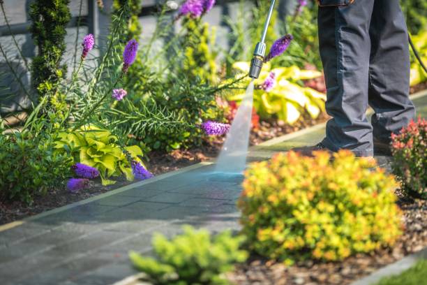 Best Spring Cleaning  in Sulphur Springs, TX